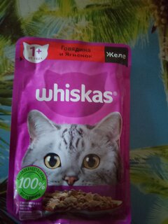 Корм для животных Whiskas, 75 г, для взрослых кошек 1+, желе, говядина/ягнятина, пауч, G8457 - фото 1 от пользователя