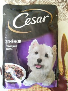 Корм для животных Cesar, 85 г, для собак, кусочки в соусе, ягненок с овощами, F5873 - фото 4 от пользователя