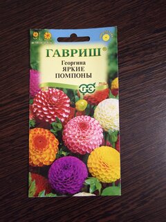 Семена Цветы, Георгина, Яркие помпоны, 0.2 г, Цветочная коллекция, цветная упаковка, Гавриш - фото 5 от пользователя