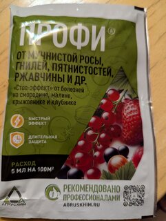 Фунгицид Профи, от болезней на ягодных кустарниках и землянике, 5 мл, Агрусхим - фото 1 от пользователя