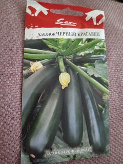 Семена Кабачок-цуккини, Чёрный Красавец, 2 г, цветная упаковка, Русский огород - фото 1 от пользователя