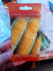 Семена Кукуруза, Сахарный початок, 5 г, Русский вкус, цветная упаковка, Гавриш - фото 1 от пользователя