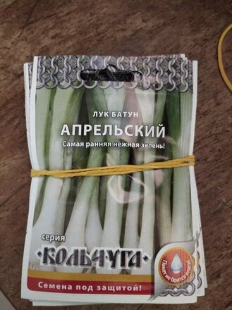 Семена Лук батун, Апрельский, 1 г, Кольчуга, цветная упаковка, Русский огород - фото 3 от пользователя