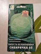 Семена Капуста белокочанная, Сибирячка 60, 0.5 г, Сибирская, цветная упаковка, Поиск - фото 7 от пользователя