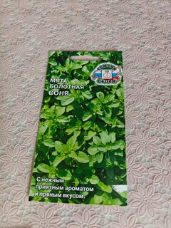 Семена Мята, Болотная Соня, цветная упаковка, Седек - фото 3 от пользователя