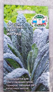 Семена Капуста листовая, Ингрид, 0.3 г, цветная упаковка, Седек - фото 6 от пользователя