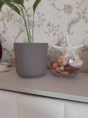 Кашпо пластик, 1.6 л, 14х13.5 см, французский серое, Idea, Вельвет - фото 6 от пользователя