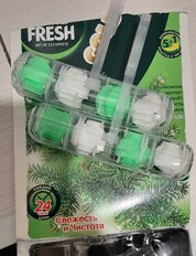 Подвеска для унитаза Master Fresh, Хвоя, 2 шт, Duo effect 5 в 1 - фото 2 от пользователя