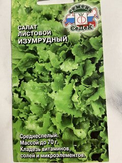 Семена Салат листовой, Изумрудный, 0.5 г, цветная упаковка, Седек - фото 4 от пользователя