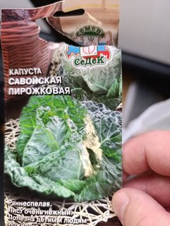 Семена Капуста савойская, Пирожковая Евро, 0.5 г, 10309, цветная упаковка, Седек - фото 9 от пользователя