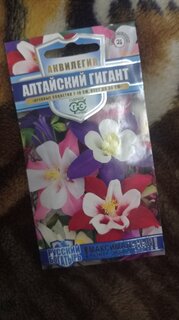 Семена Цветы, Аквилегия, Русский богатырь, 0.05 г, культурная, цветная упаковка, Гавриш - фото 3 от пользователя