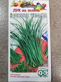 Семена Лук шнитт, Чемал, 0.5 г, на зелень, цветная упаковка, Гавриш - фото 5 от пользователя