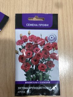 Семена Цветы, Эустома, Арена Ред, крупноцветковая, цветная упаковка, Поиск - фото 8 от пользователя