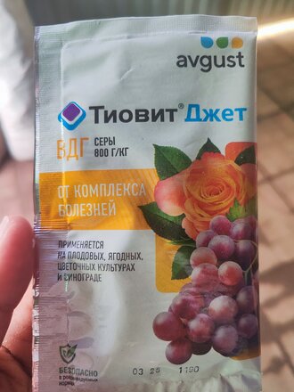 Фунгицид Тиовит Джет, 30 г, гранулы, от мучн.росы, Avgust - фото 2 от пользователя