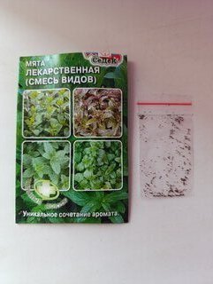 Семена Мята, Лекарственная, смесь видов, цветная упаковка, Седек - фото 5 от пользователя
