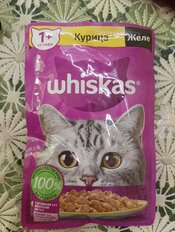 Корм для животных Whiskas, 75 г, для взрослых кошек 1+, кусочки в желе, курица, пауч, G8459 - фото 9 от пользователя