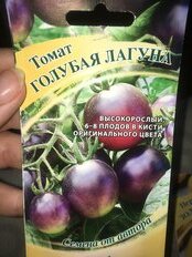 Семена Томат, Голубая лагуна Н18, 0.05 г, Семена от автора, авторские, цветная упаковка, Гавриш - фото 8 от пользователя