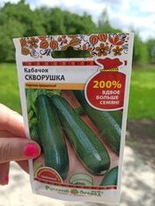 Семена Кабачок-цуккини, Скворушка, 4 г, 200%, цветная упаковка, Русский огород - фото 9 от пользователя