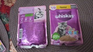 Корм для животных Whiskas, 75 г, для котят, 1-12 месяцев, паштет, курица, пауч, G8472 - фото 5 от пользователя