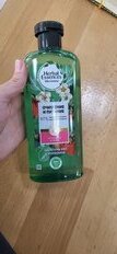 Шампунь Herbal Essences, Белая клубника и Сладкая мята, для всех типов волос, 400 мл - фото 2 от пользователя