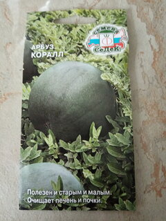 Семена Арбуз, Коралл, 1 г, цветная упаковка, Седек - фото 8 от пользователя