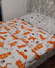 Постельное белье 1.5-спальное, простыня 150х215 см, 2 наволочки 50х70 см, пододеяльник 145х215 см, Bravo, поплин, Котойога 6053-1+6053а-1 - фото 1 от пользователя