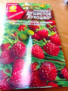 Семена Земляника, Душистое лукошко, 0.04 г, цветная упаковка, Аэлита - фото 1 от пользователя