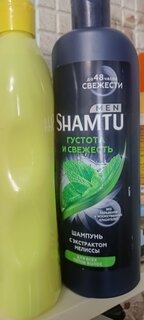 Шампунь Shamtu, Свежесть Ментола, для всех типов волос, для мужчин, 500 мл - фото 1 от пользователя