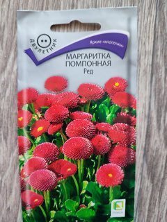 Семена Цветы, Маргаритка, Ред, 0.05 г, помпонная, цветная упаковка, Поиск - фото 7 от пользователя