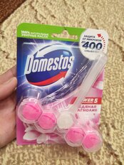 Подвеска для унитаза Domestos, Ледяная магнолия, 55 г - фото 6 от пользователя