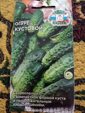 Семена Огурец, Кустовой, 0.5 г, цветная упаковка, Седек - фото 1 от пользователя