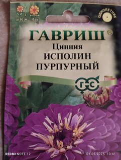 Семена Цветы, Цинния, Исполин пурпурный, 0.3 г, цветная упаковка, Гавриш - фото 7 от пользователя