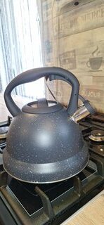 Чайник нержавеющая сталь, 3 л, со свистком, матовый, ручка с силиконовым покрытием, Daniks, черный, MSY-A059 - фото 1 от пользователя