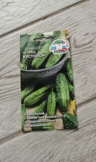 Семена Огурец, Кустовой, 0.5 г, цветная упаковка, Седек - фото 6 от пользователя