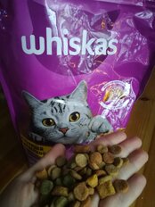 Корм для животных Whiskas, 800 г, для взрослых кошек 1+, сухой, курица/индейка, подушечки с паштетом, пакет - фото 5 от пользователя