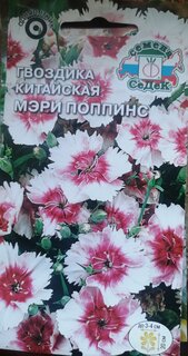 Семена Цветы, Гвоздика, Мэри Поппинс, 0.1 г, цветная упаковка, Седек - фото 7 от пользователя