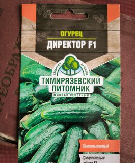 Семена Огурец, Директор F1, Голландия, цветная упаковка, Тимирязевский питомник - фото 9 от пользователя