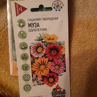 Семена Цветы, Гацания, Муза, 0.05 г, Удачные семена, крупноцветковая, смесь, цветная упаковка, Гавриш - фото 2 от пользователя