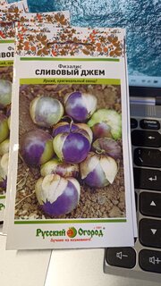 Семена Физалис, Сливовый джем, цветная упаковка, Русский огород - фото 3 от пользователя