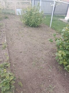 Электрокультиватор Deko, DKET1000-360, ширина 36 см, 10 см, 1000 Вт, 065-1201 - фото 3 от пользователя
