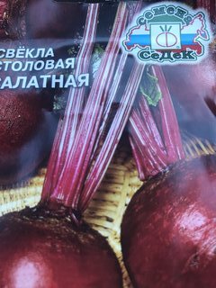Семена Свекла, Детройт, 3 г, цветная упаковка, Тимирязевский питомник - фото 2 от пользователя