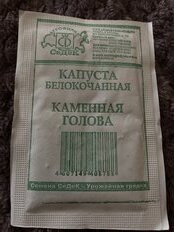 Семена Капуста белокочанная, Каменная голова, 0.5 г, МФ, белая упаковка, Седек - фото 7 от пользователя