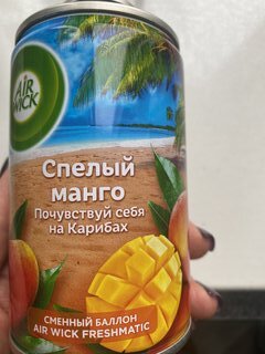 Освежитель воздуха Air Wick, 250 мл, Спелый манго, сменный, сухое распыление, 3219084 - фото 9 от пользователя