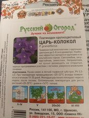 Семена Цветы, Платикодон, Крупноцветковый Царь-Колокол, 8 шт, цветная упаковка, Русский огород - фото 8 от пользователя