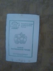 Семена Томат, Балконное Чудо МФ, 0.1 г, 10963, белая упаковка, Седек - фото 2 от пользователя