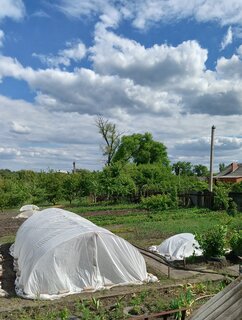 Спанбонд укрывной 42 г/м2, №42, 3.2х10 м, Агроспан, белый - фото 9 от пользователя