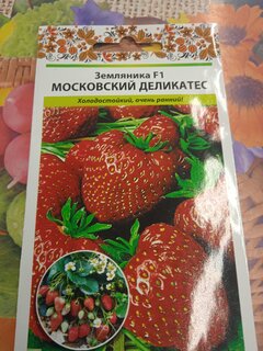 Семена Клубника, Домашний Деликатес F1, цветная упаковка, Русский огород - фото 1 от пользователя