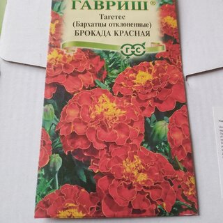 Семена Цветы, Бархатцы, Брокада красная Тагетес, 0.3 г, отклоненные, цветная упаковка, Гавриш - фото 6 от пользователя