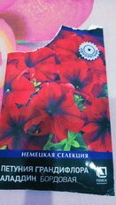 Семена Цветы, Петуния, Грандифлора Аладдин Бордовая, цветная упаковка, Поиск - фото 9 от пользователя
