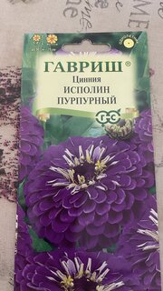 Семена Цветы, Цинния, Исполин пурпурный, 0.3 г, цветная упаковка, Гавриш - фото 1 от пользователя